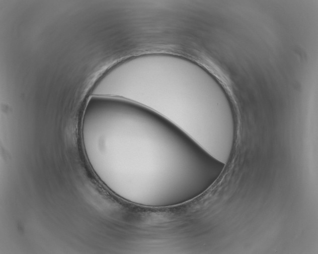 X0000090970107200708021150