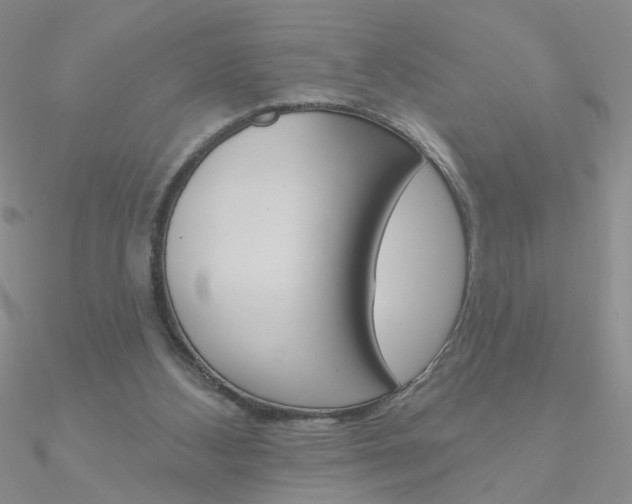 X0000090970108200708021150