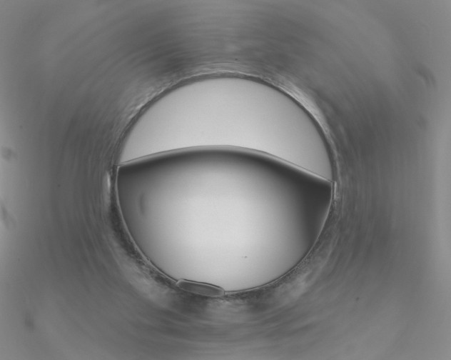 X0000090970109200708021150