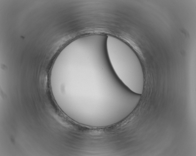 X0000090970110200708021150