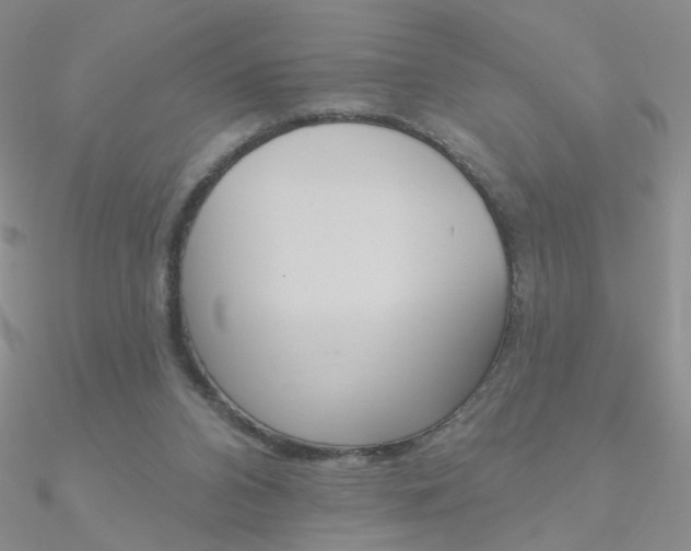 X0000090970112200708021150