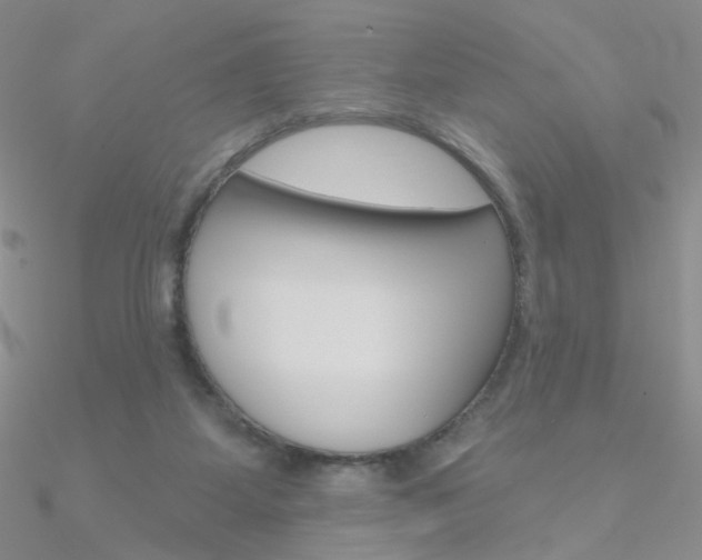 X0000090970115200708021150