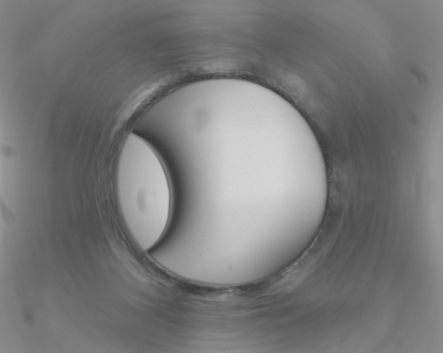 X0000090970116200708021150