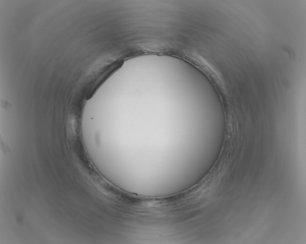 X0000090970117200708021150