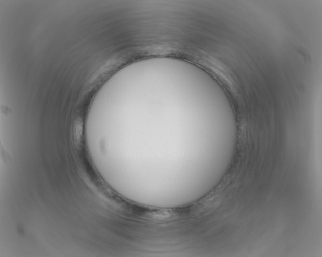 X0000090970118200708021150