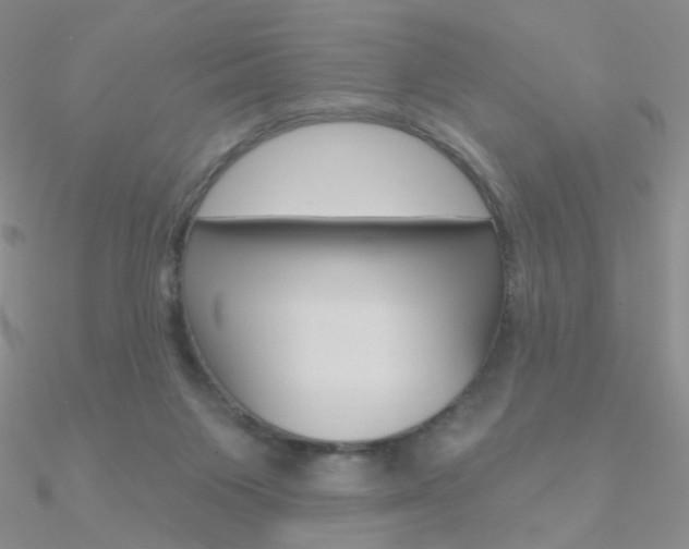 X0000090970119200708021150