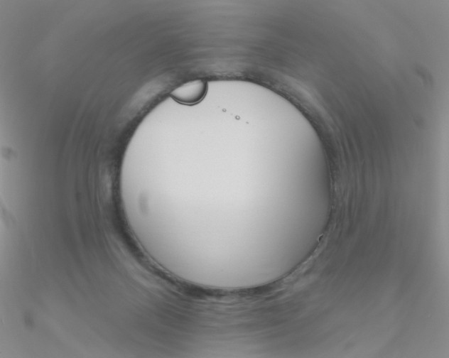 X0000090970120200708021150