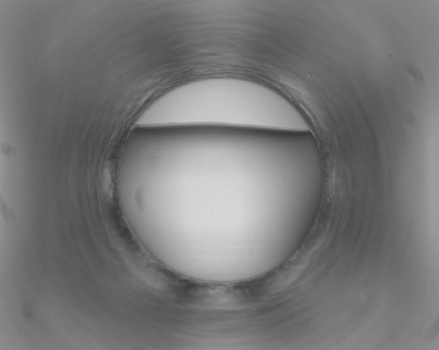 X0000090970121200708021150