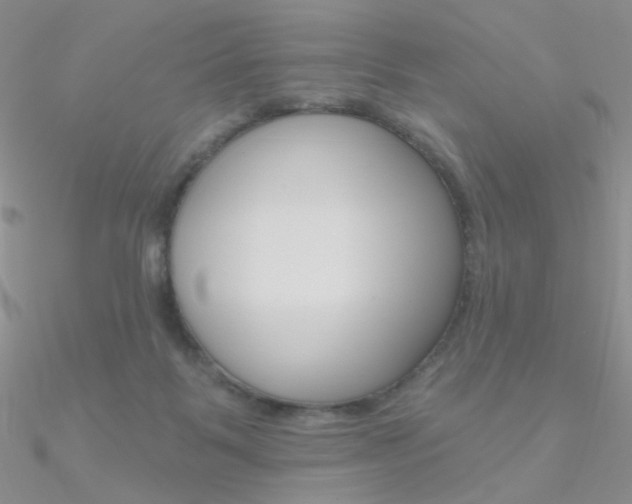 X0000090970123200708021150