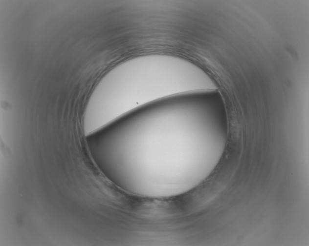 X0000090970125200708021150