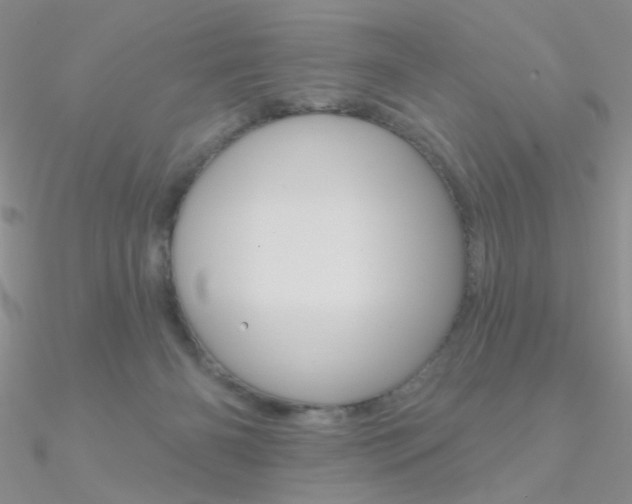 X0000090970126200708021150