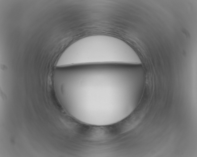 X0000090970127200708021150