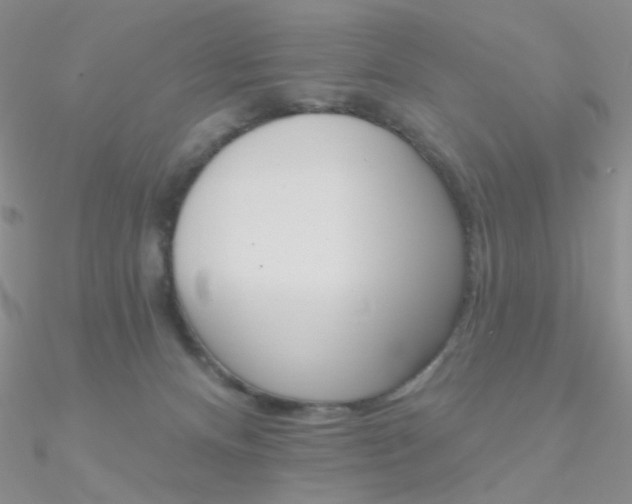 X0000090970128200708021150