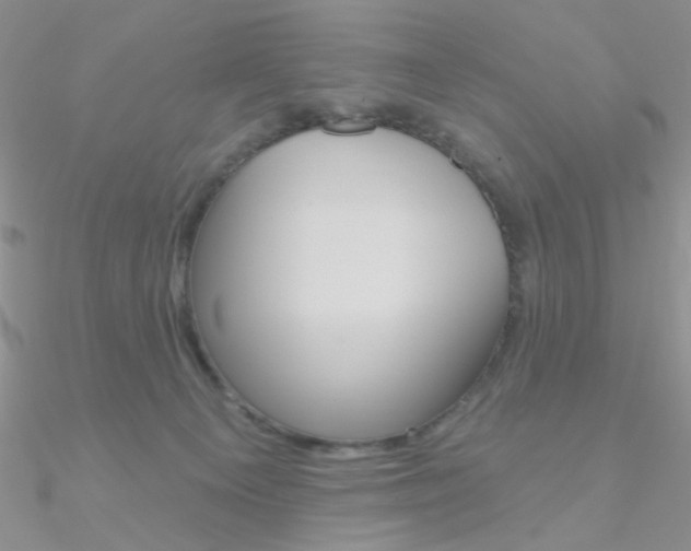 X0000090970129200708021150