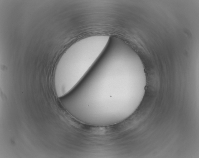 X0000090970131200708021150