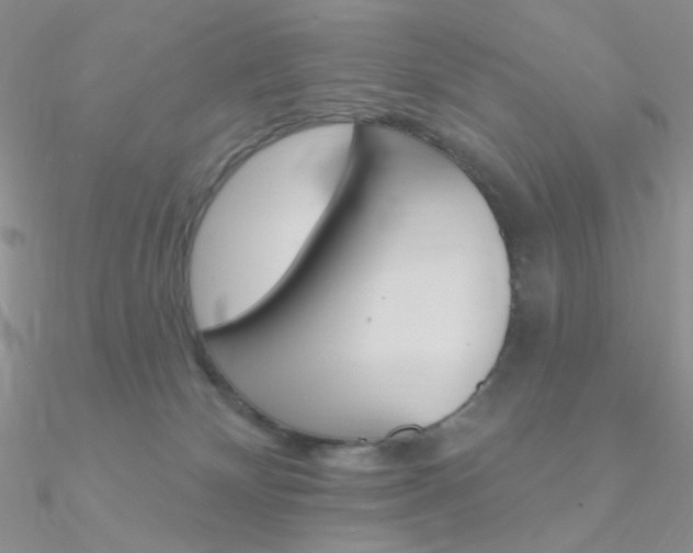 X0000090970132200708021150