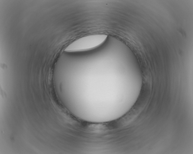 X0000090970133200708021150