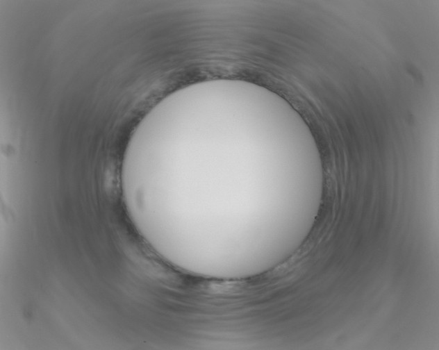 X0000090970134200708021150