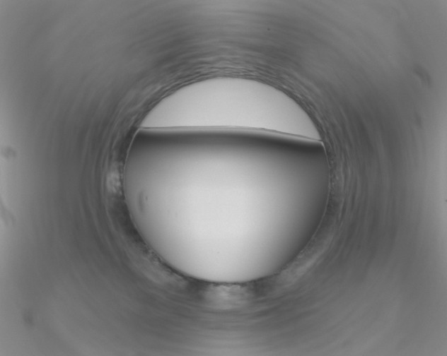 X0000090970137200708021150