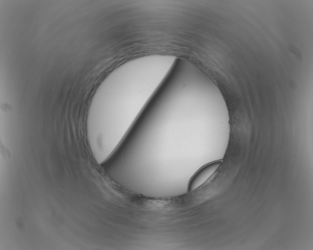 X0000090970139200708021150