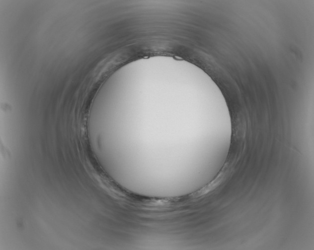 X0000090970140200708021150