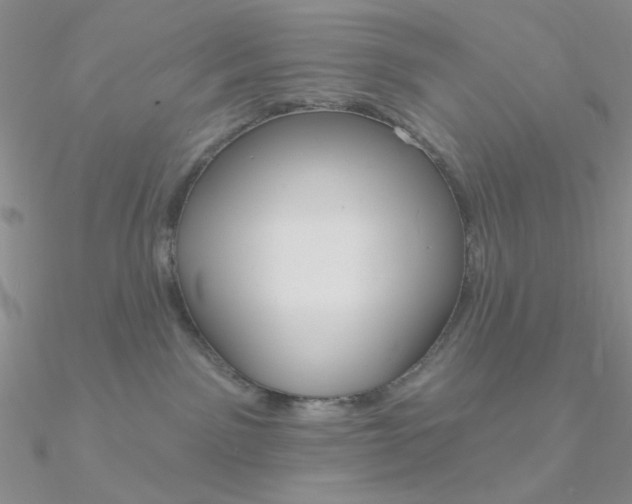 X0000090970141200708021150