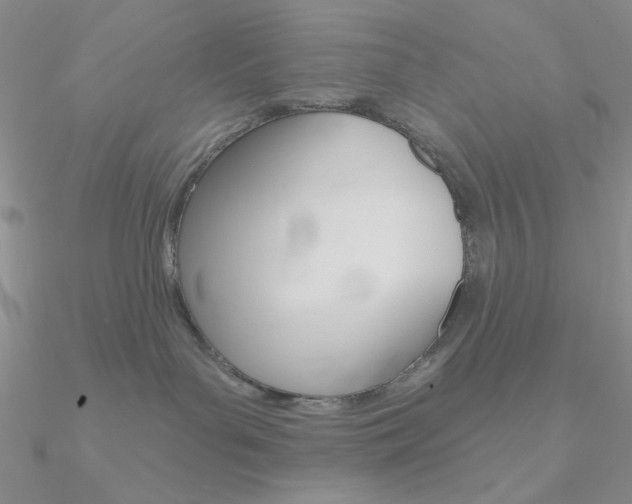 X0000090970143200708021150