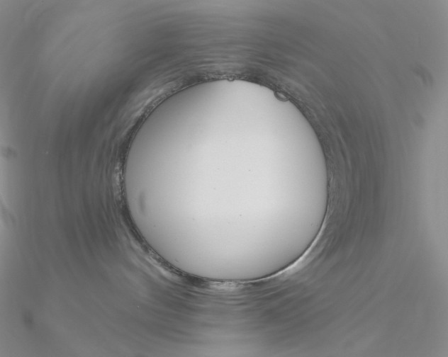 X0000090970144200708021150