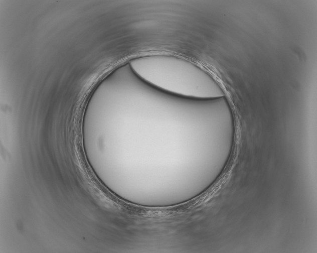 X0000090970145200708021149