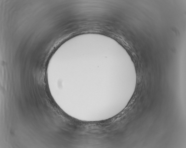 X0000090970146200708021149