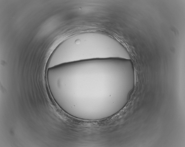 X0000090970147200708021149