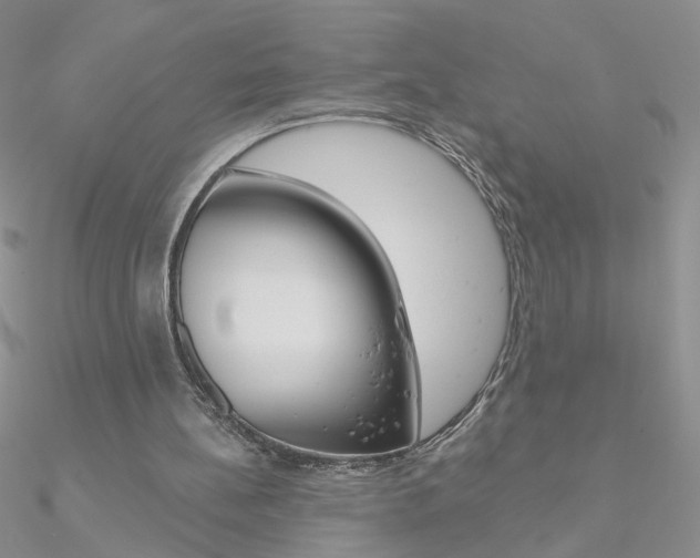 X0000090970148200708021149