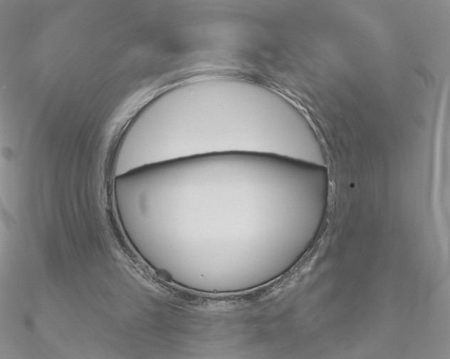 X0000090970149200708021149