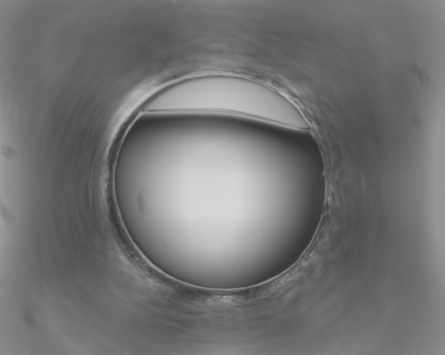 X0000090970152200708021149
