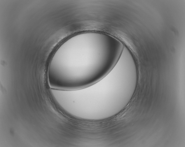 X0000090970156200708021149