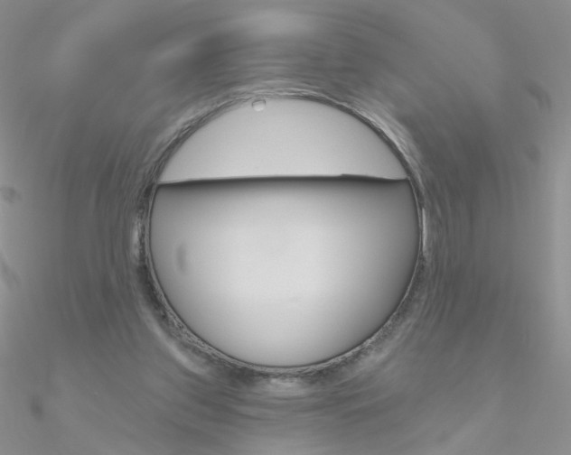 X0000090970157200708021150