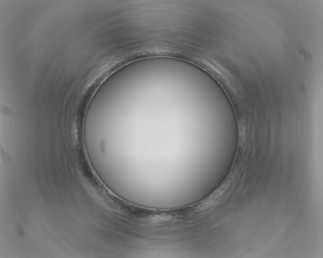 X0000090970158200708021150