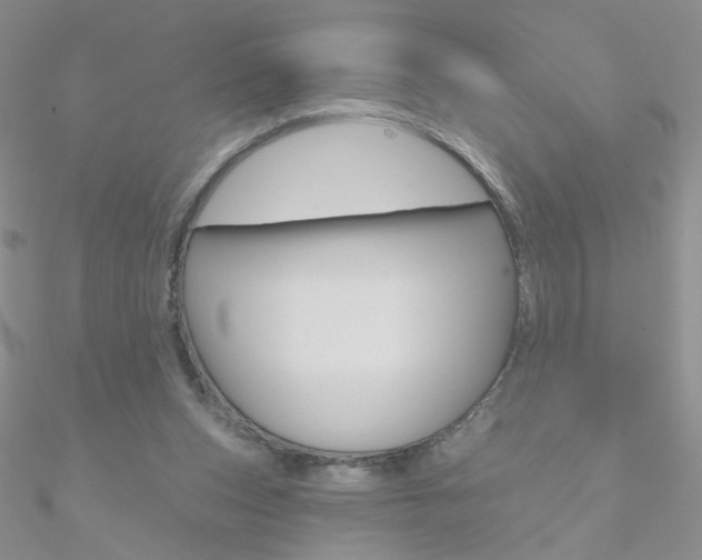 X0000090970159200708021150