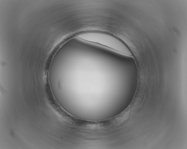 X0000090970160200708021150