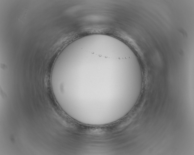 X0000090970161200708021150