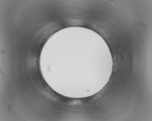 X0000090970162200708021150