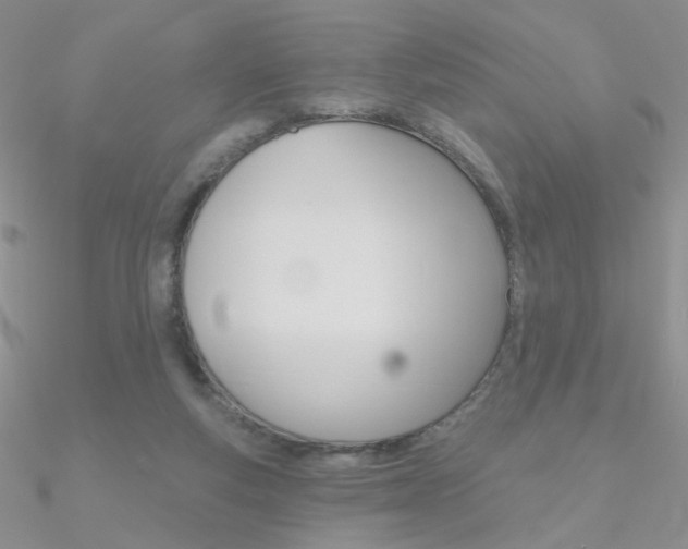 X0000090970163200708021150