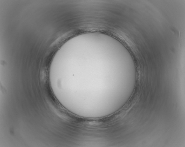 X0000090970165200708021150