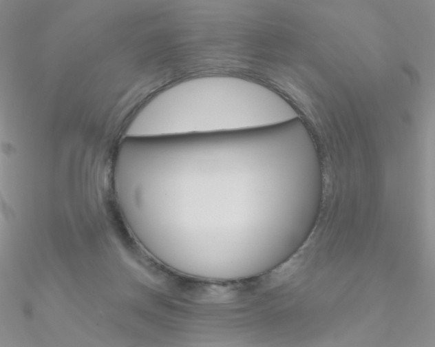 X0000090970166200708021150