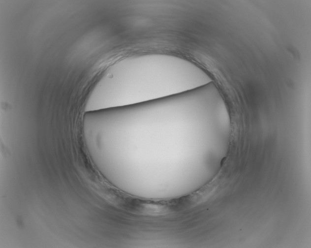 X0000090970167200708021150