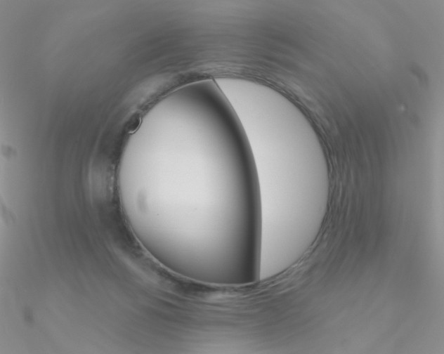 X0000090970168200708021150