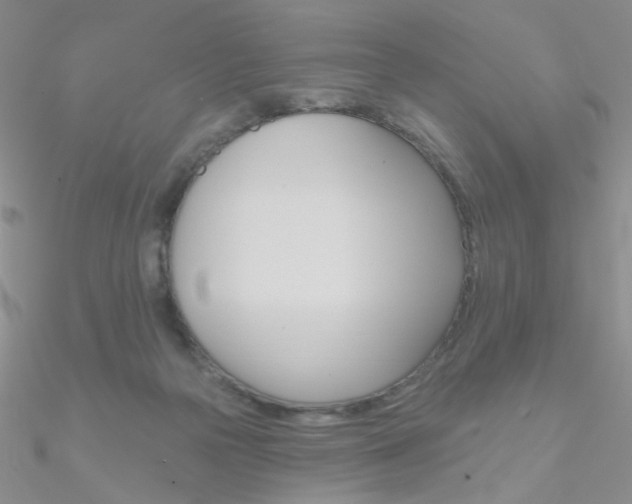 X0000090970169200708021150