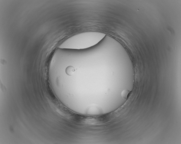 X0000090970171200708021150