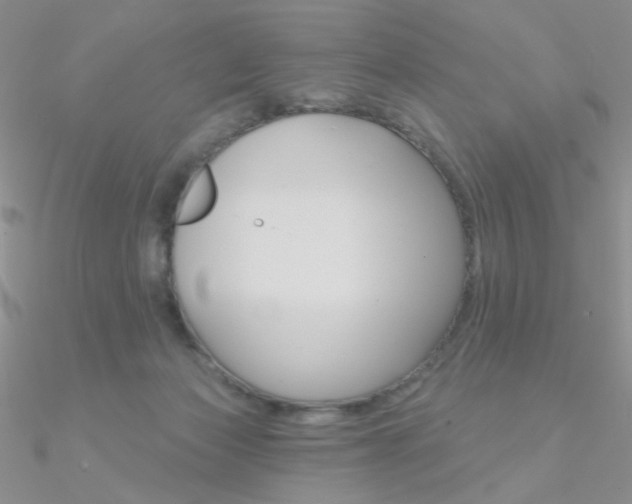 X0000090970173200708021150