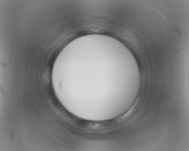 X0000090970174200708021150